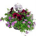 Bild von TP26 Mixpot Mix 1